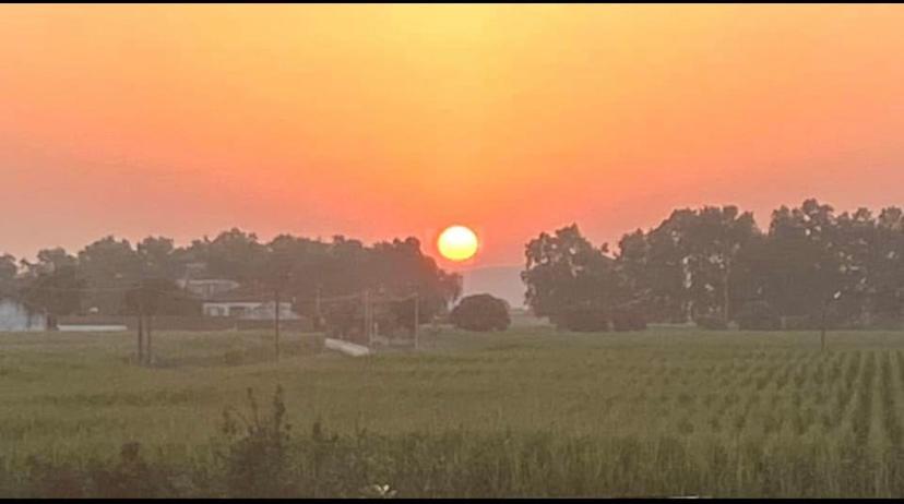 Affittacamere Casa de Azzancha Azinhaga Esterno foto