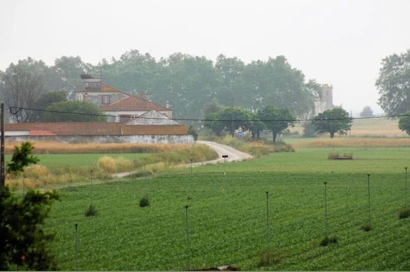 Affittacamere Casa de Azzancha Azinhaga Esterno foto